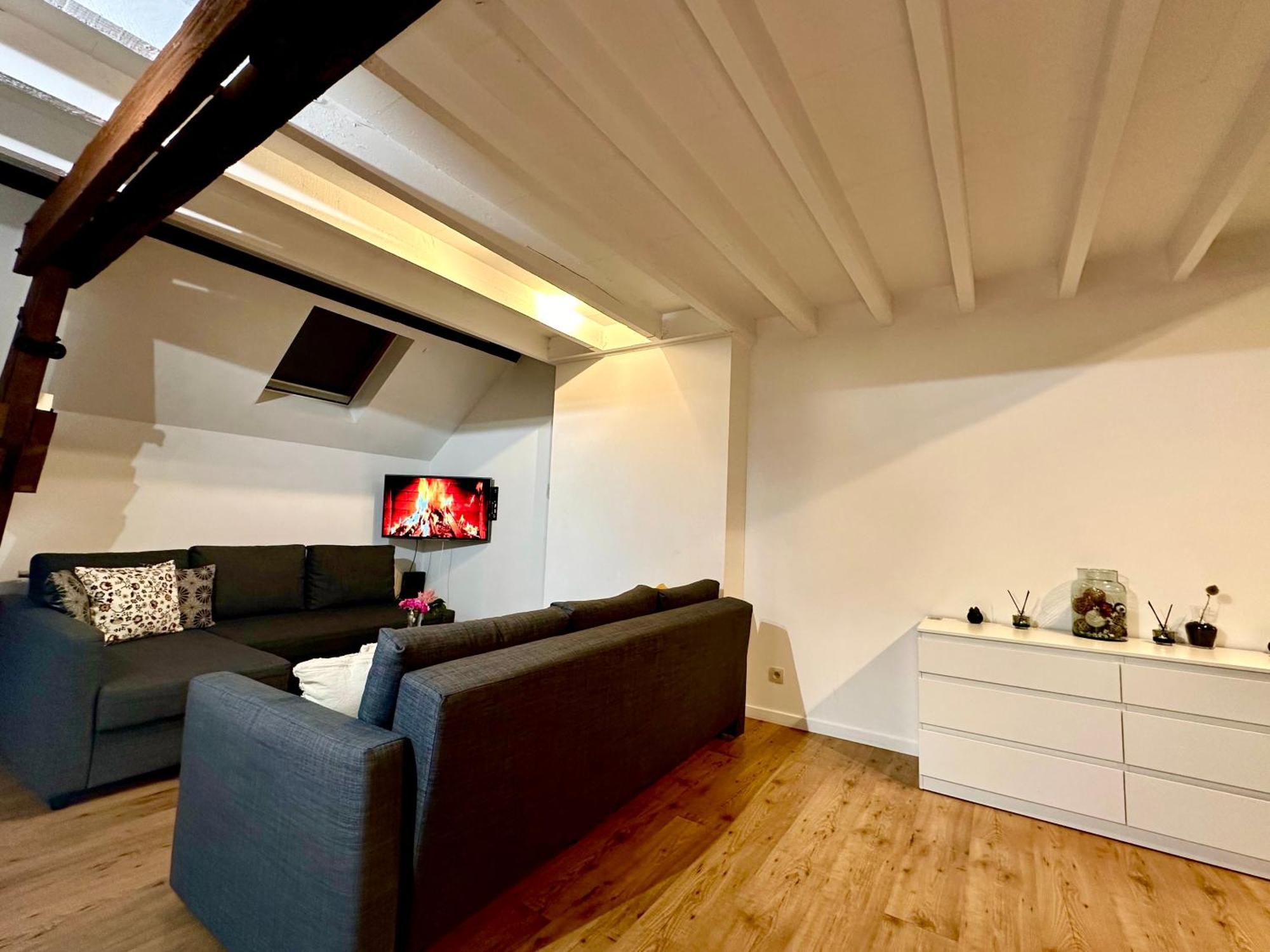 Luxury Suites Centrum By Rikas Hotels 安特卫普 外观 照片